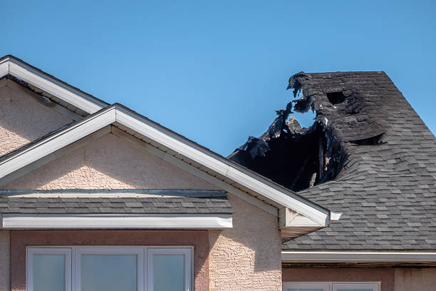 Top rated local Odor Removal specialists in Neshanic Station, NJ